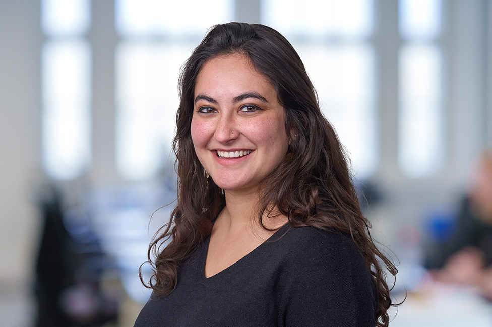 Anisa Hasan-Granier